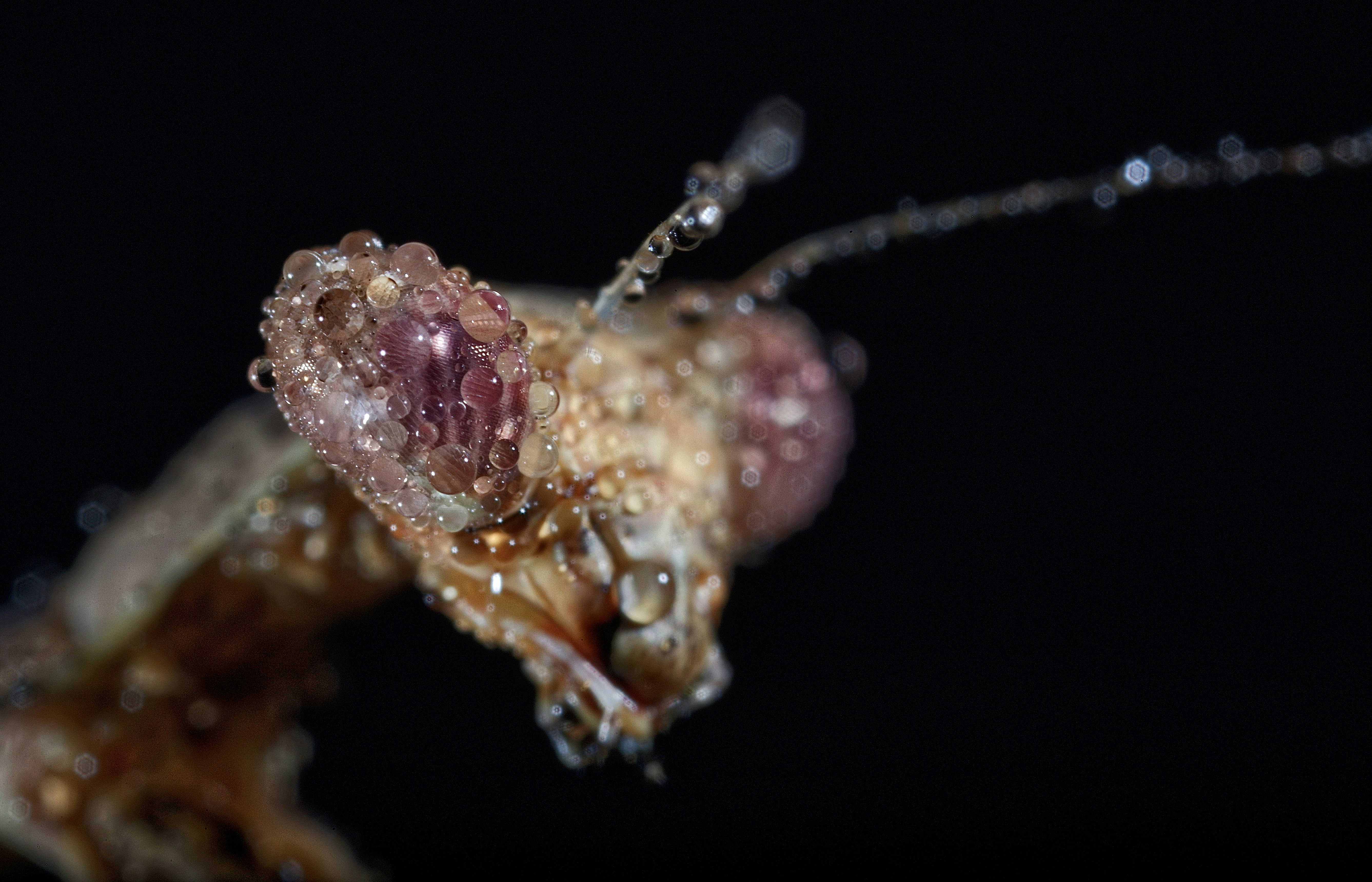 Future Research Directions (image credits: unsplash)