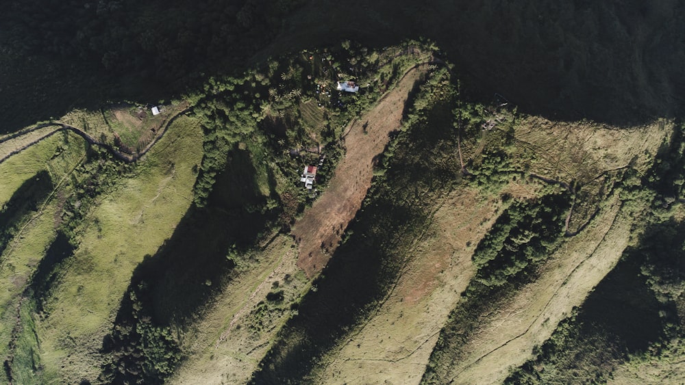 an aerial view of a forest area with trees