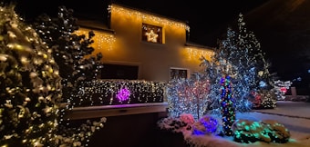 A house decorated with colorful Christmas lights at night. The facade is adorned with strings of warm white lights, and there's a bright star in the window above. Various trees and shrubs in front of the house are also wrapped in multicolored lights, with snow covering the ground and branches.