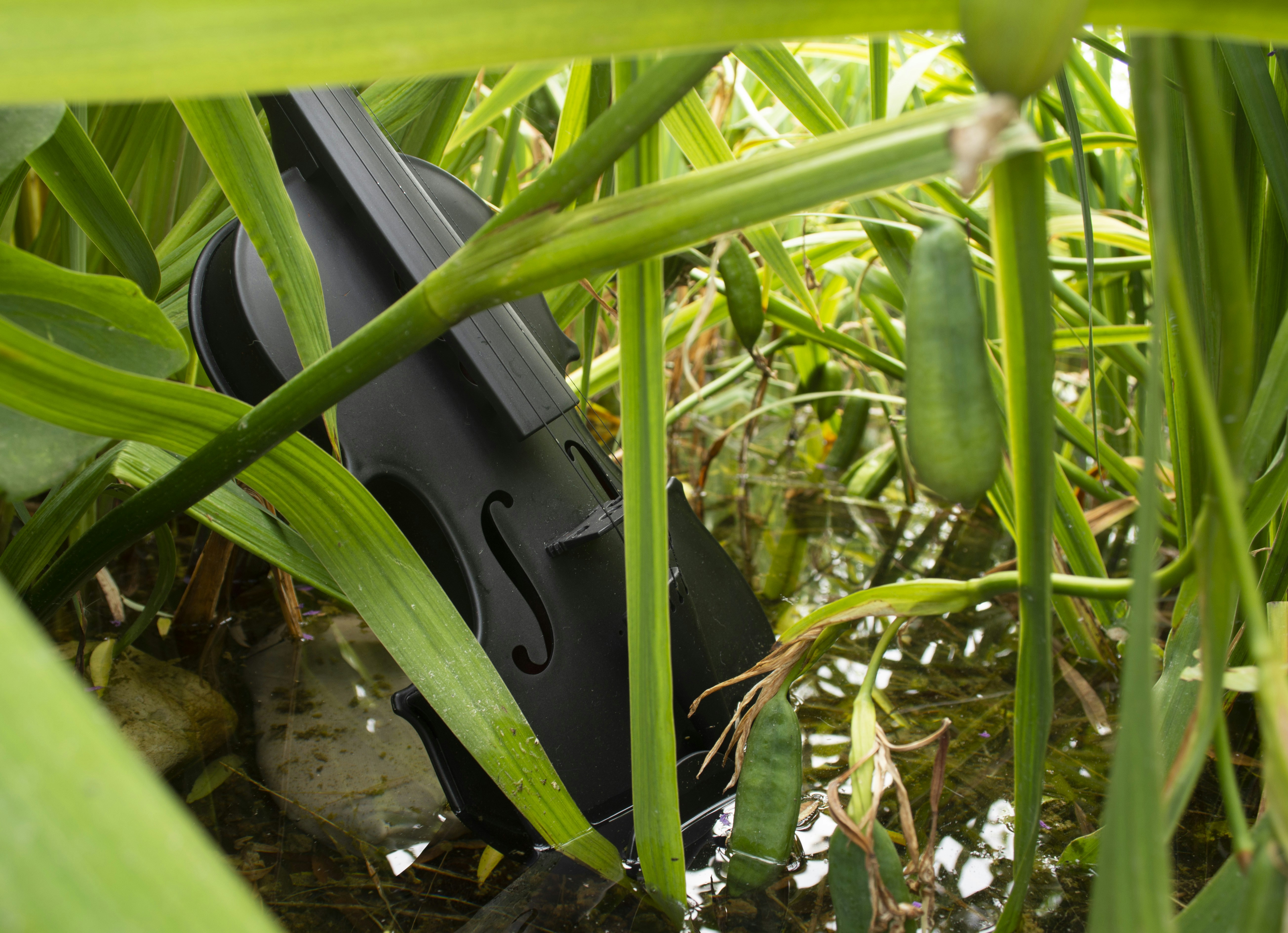 Una pistola en medio de un campo de hierba