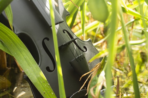 A black violin is partially obscured by lush green foliage, suggesting an outdoor, natural setting. The strings and body of the instrument are visible, surrounded by leaves and the soft sunlight filtering through them.
