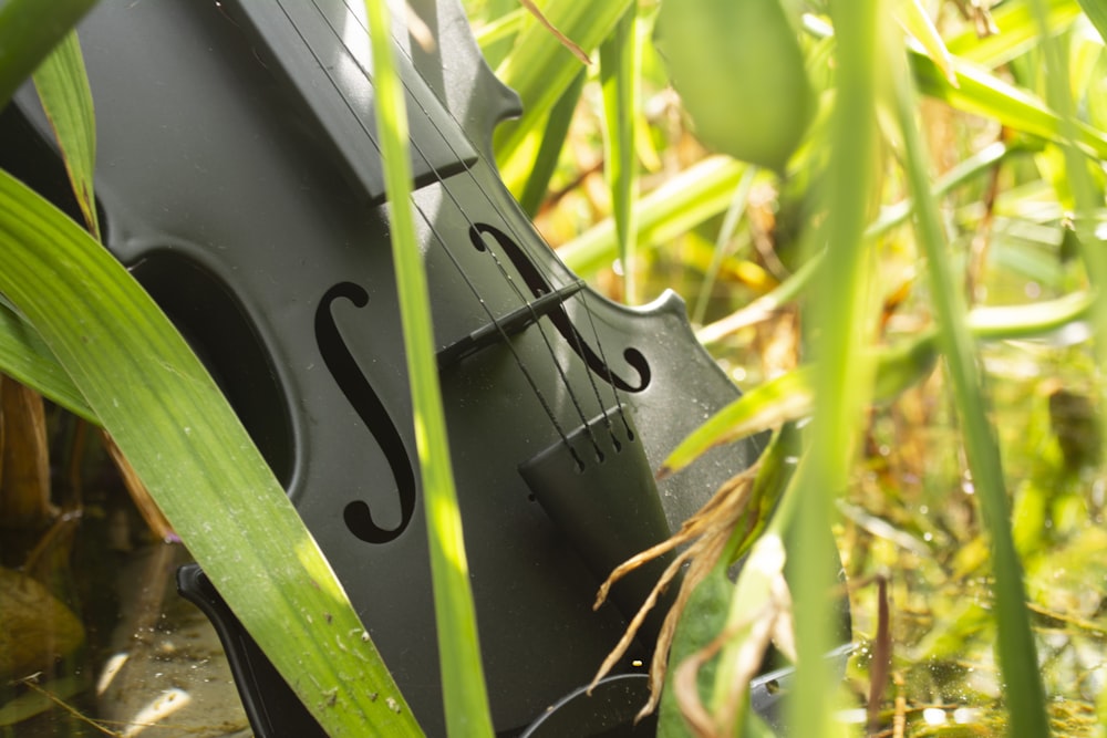a violin laying on its side in the grass