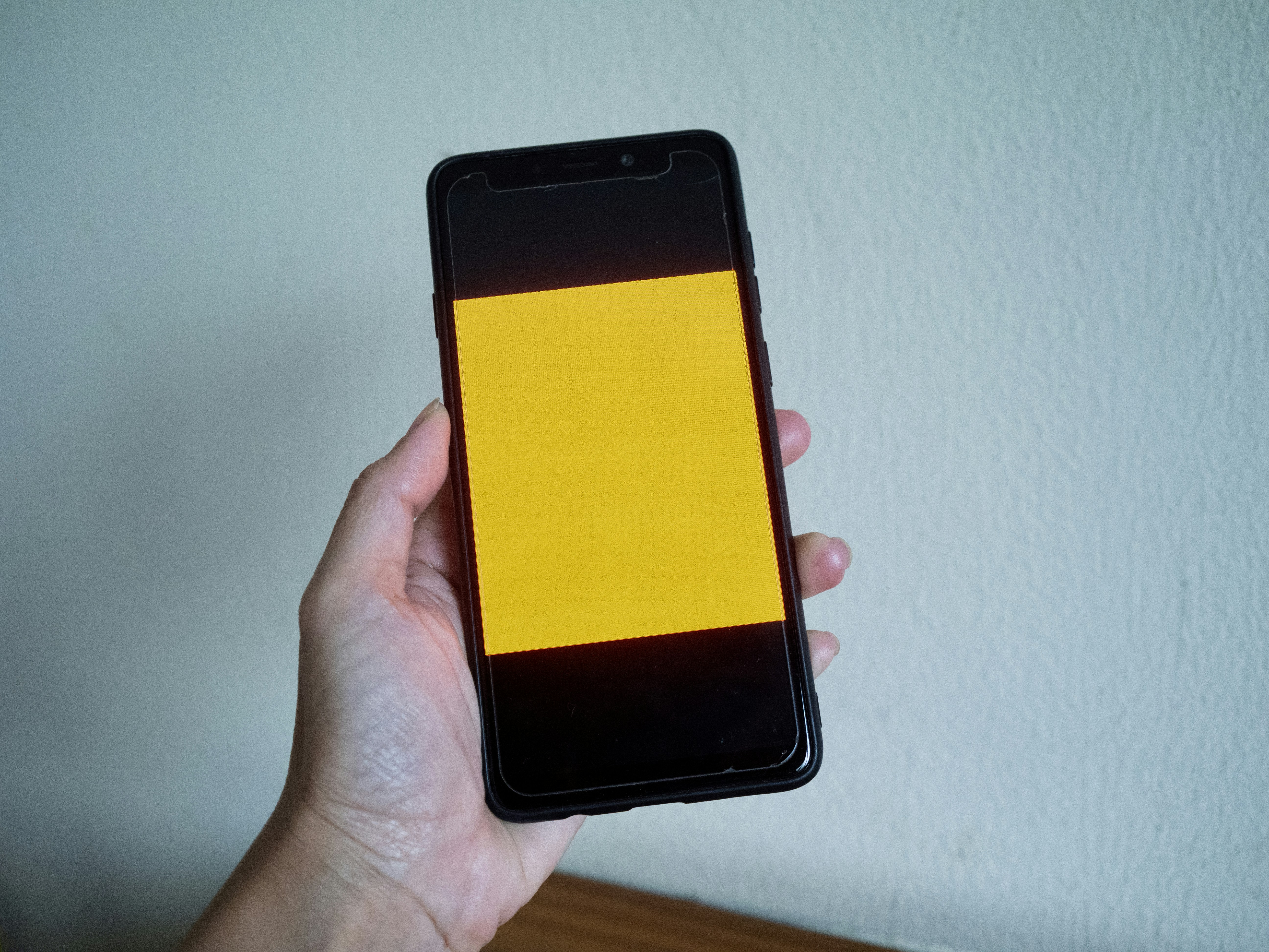 Person holding a cell phone