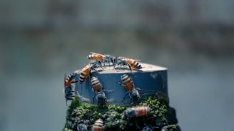 A cluster of bees is gathered atop a green, mossy surface, focusing on a metallic structure. The background is blurred, creating a sense of depth and highlighting the texture and colors of the bees and moss.