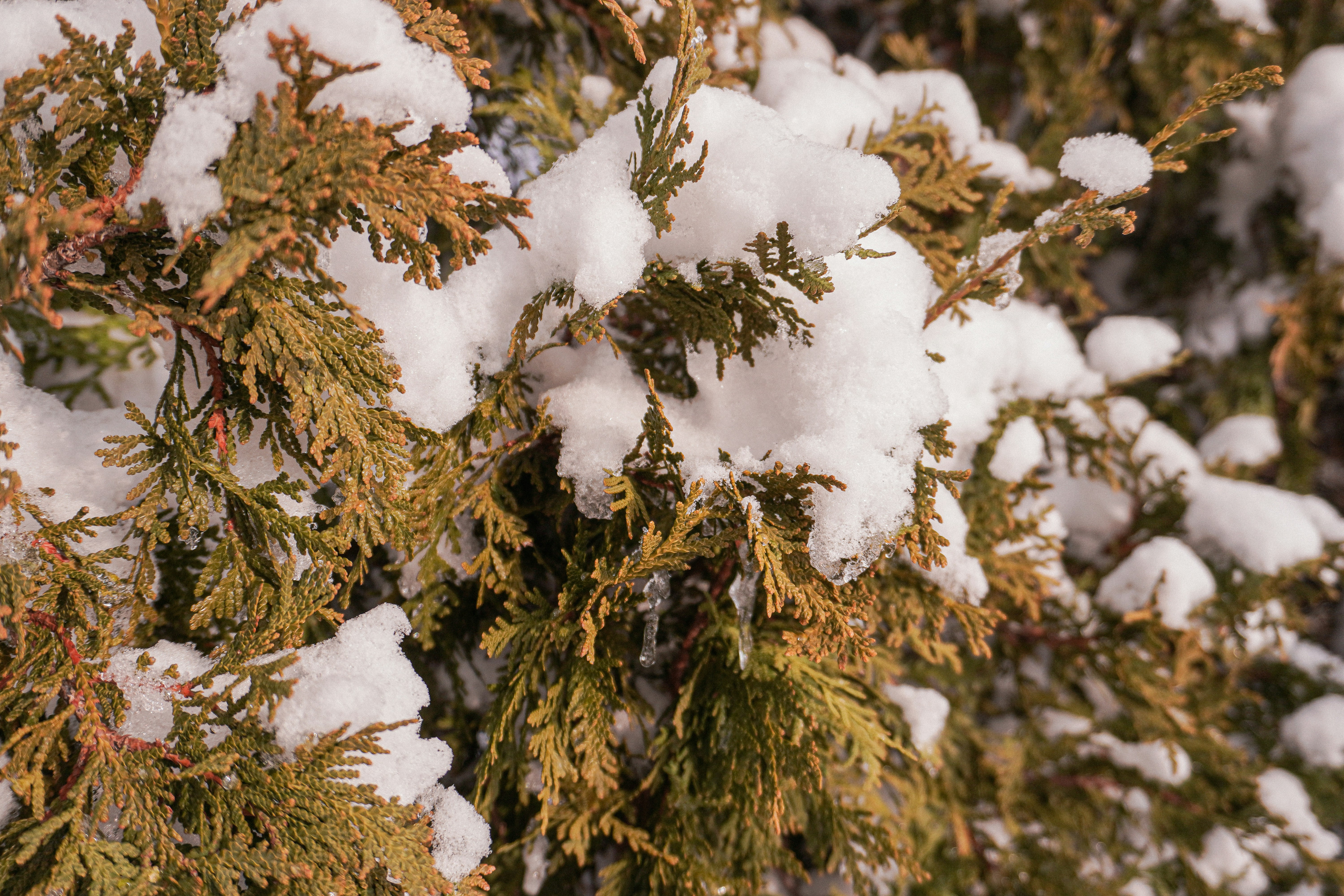 Photo by sabrinarizzo