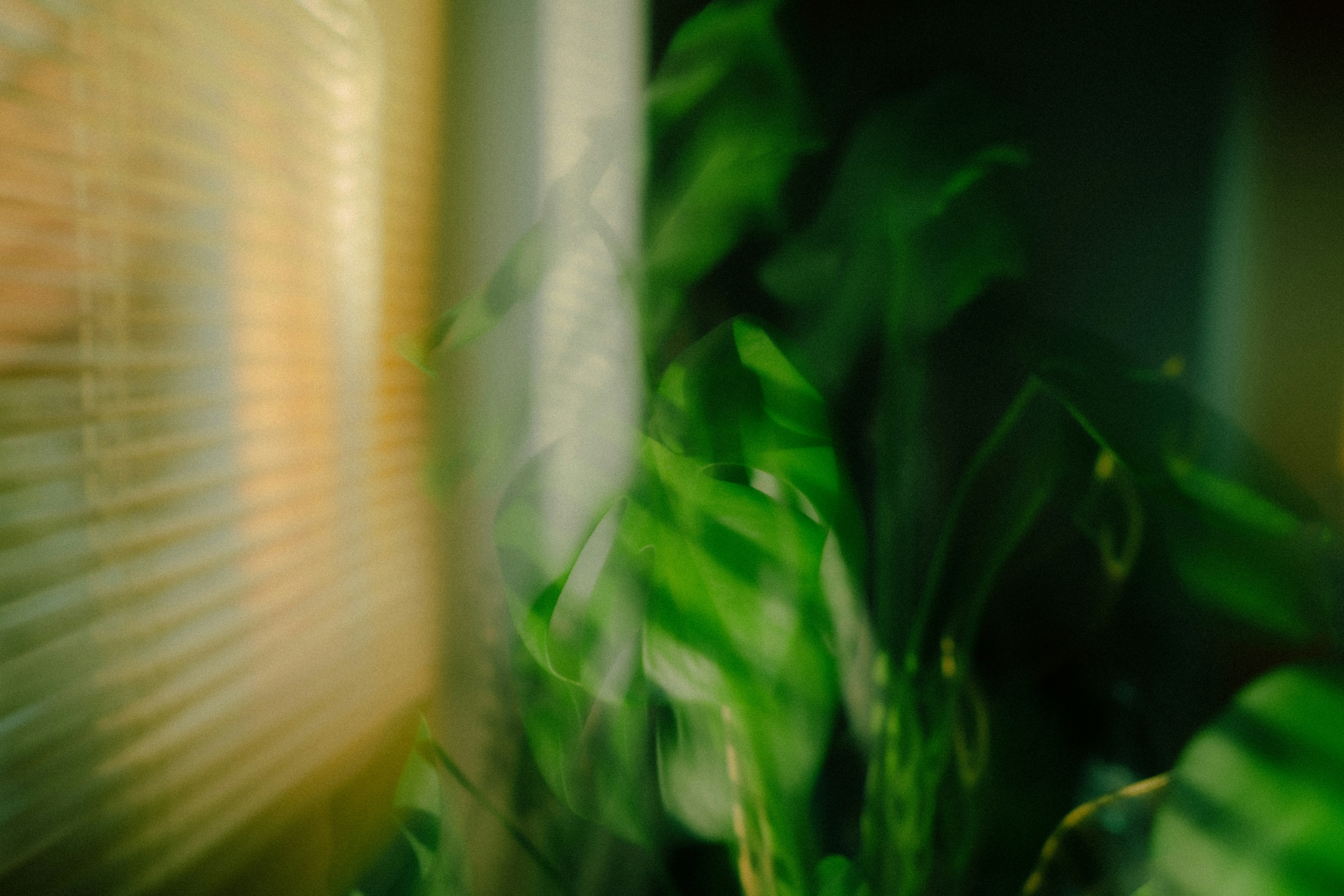 Photo by leoniezettl