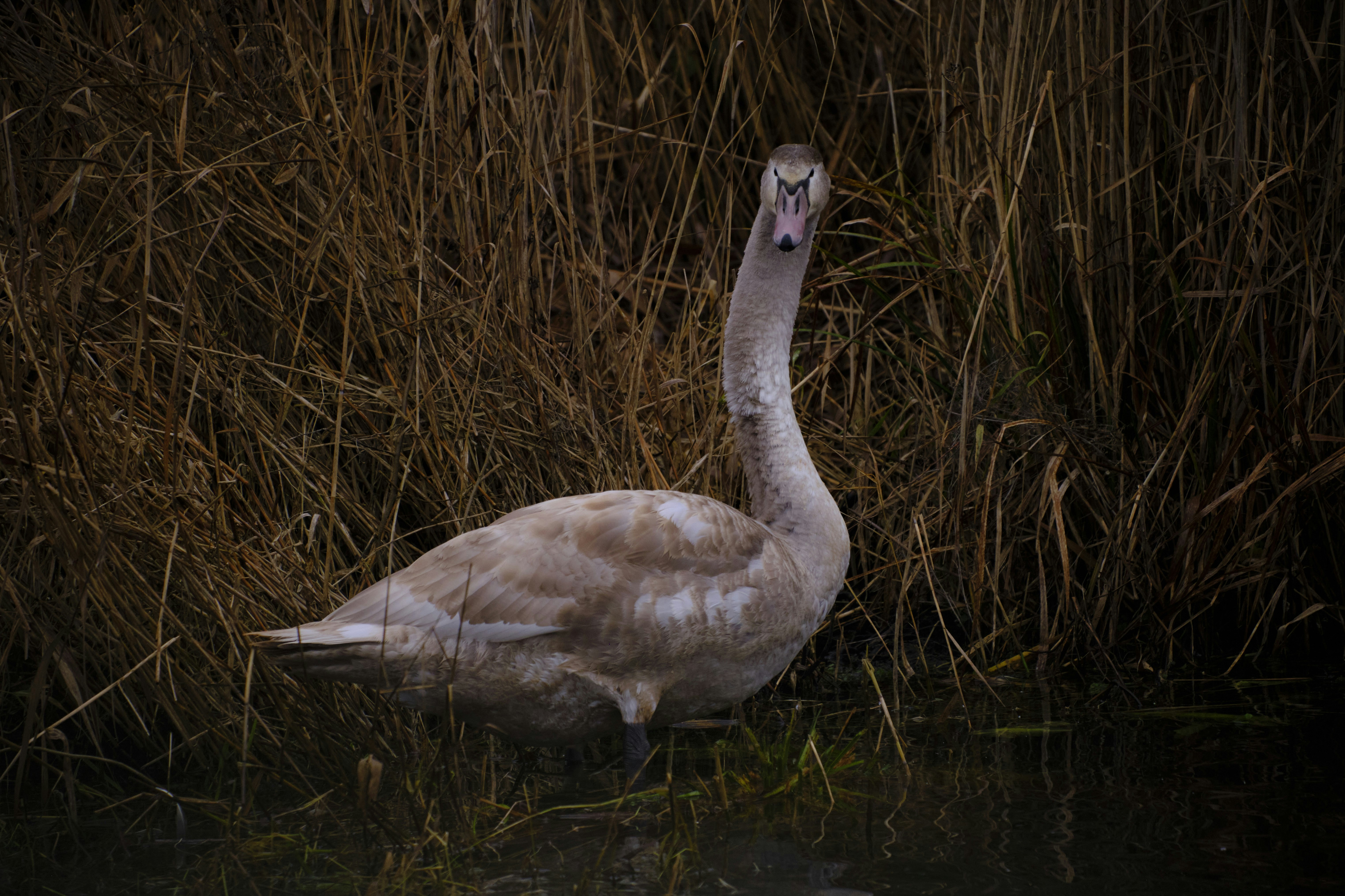 Photo by rolf_schmidbauer