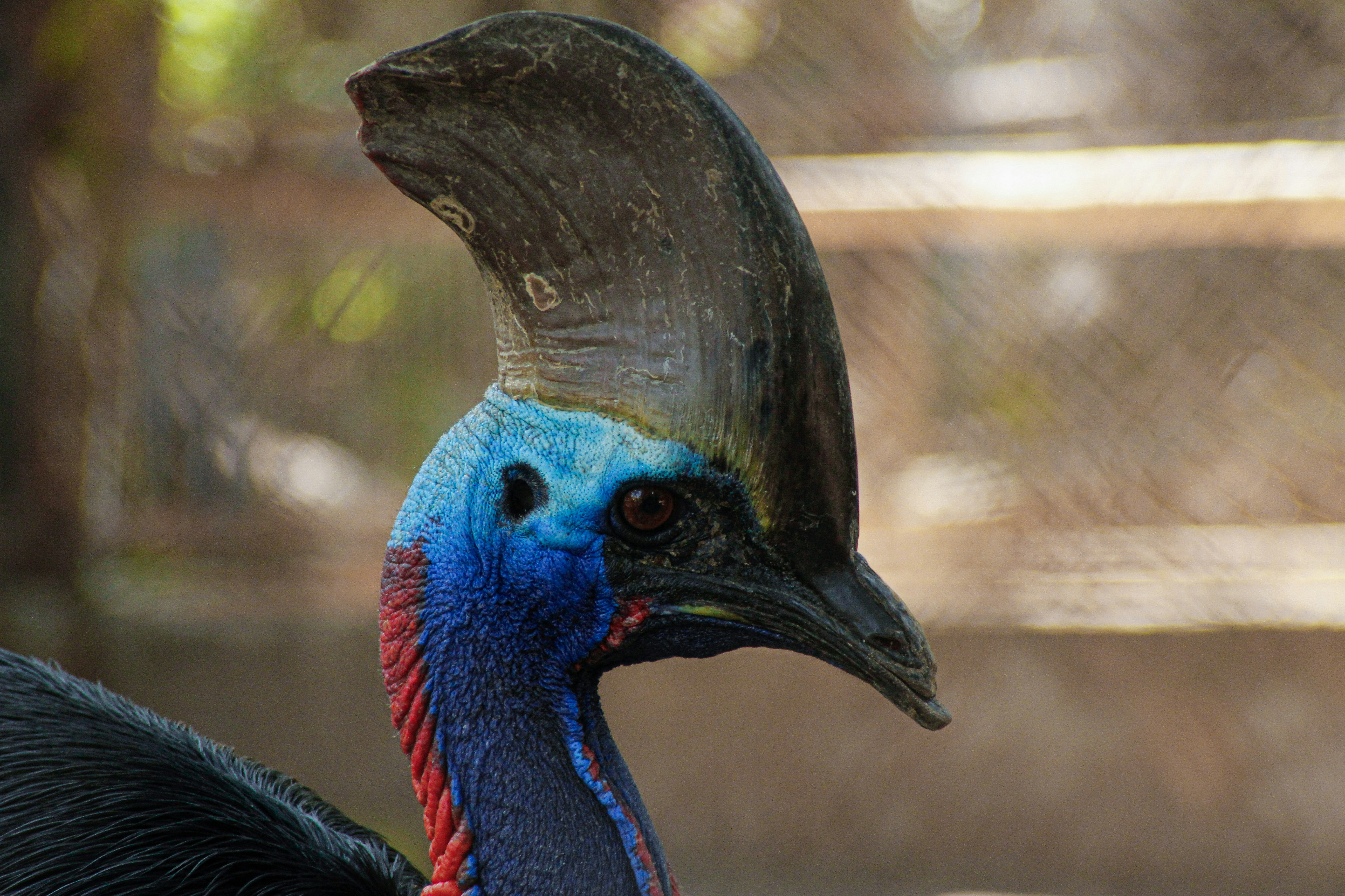 Photo by aungmyat1995