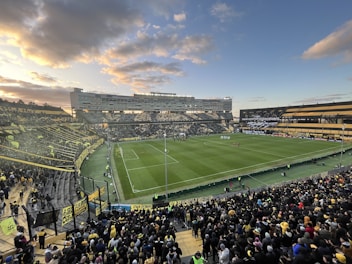 A crowded football stadium with fans filling the stands, featuring a lush green field under a partly cloudy sky. Yellow and black banners are prominently displayed, and the seating sections are filled with spectators eagerly watching the game unfold.