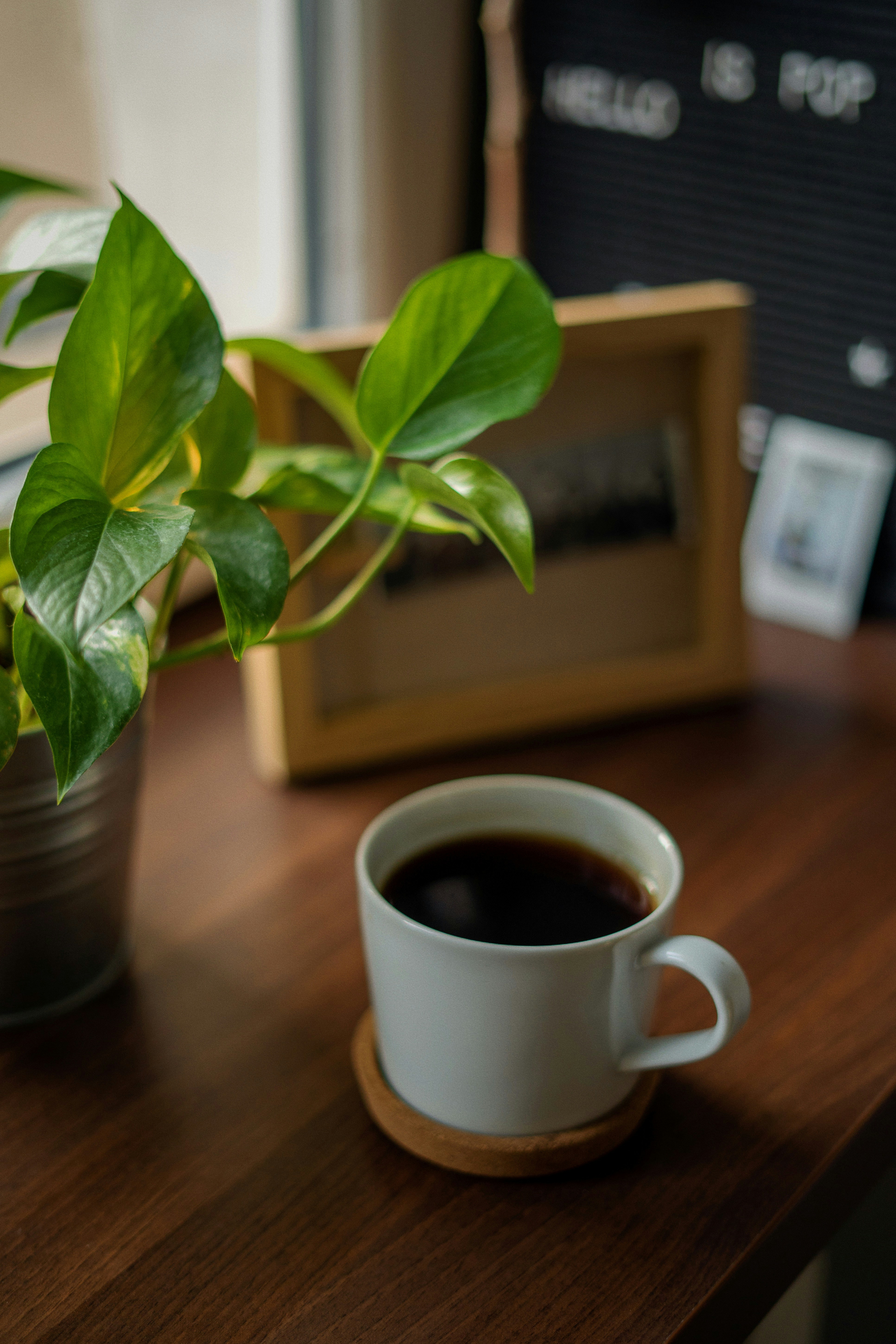 White ceramic coffee mug with delicate botanical illustration sitting on a light wooden desk, bright airy studio atmosphere, looks like artwork