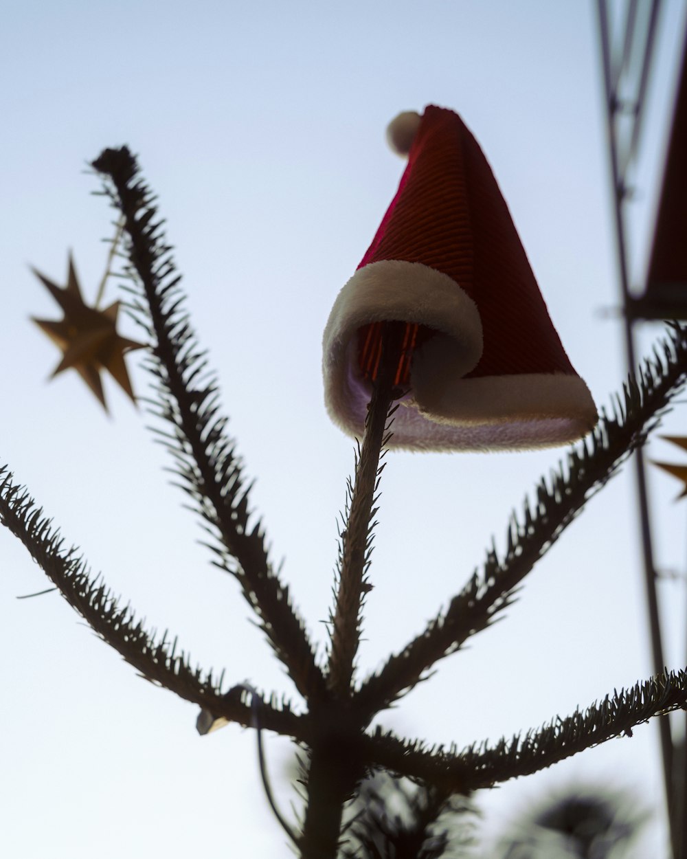 a christmas tree with a santa hat on top of it