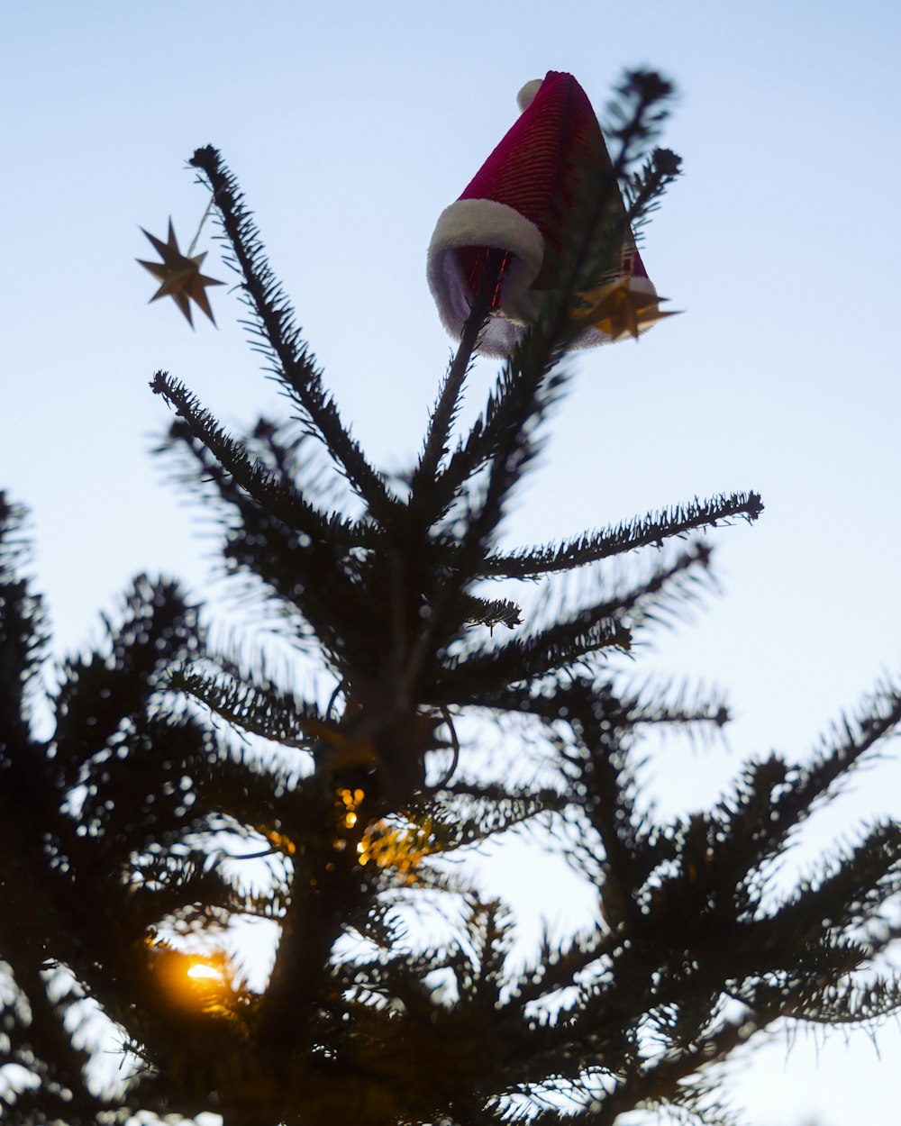 a santa hat on top of a pine tree
