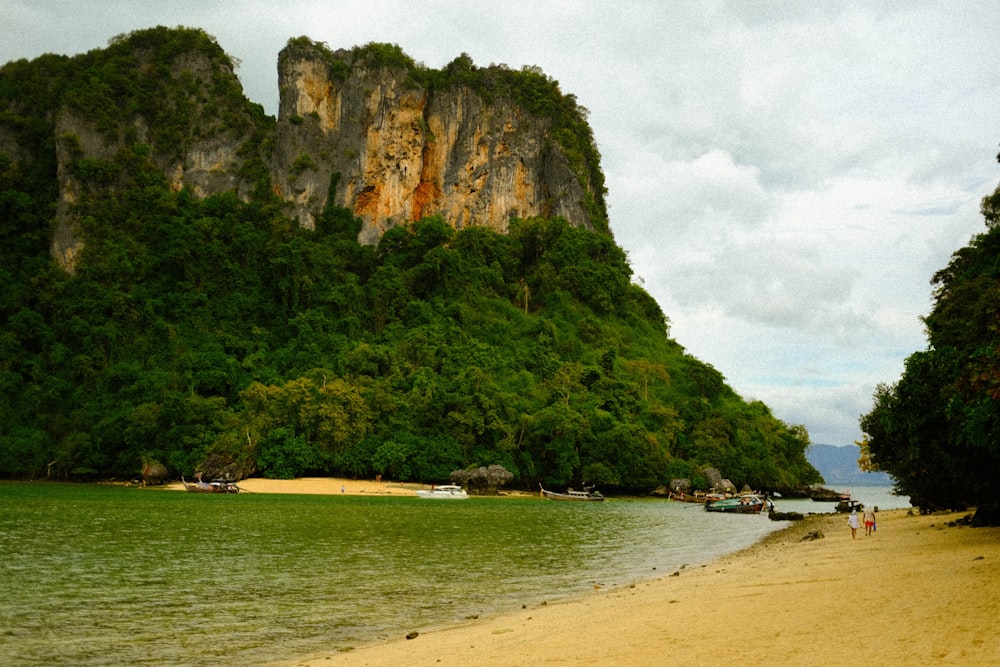 a group of people walking along a sandy beach