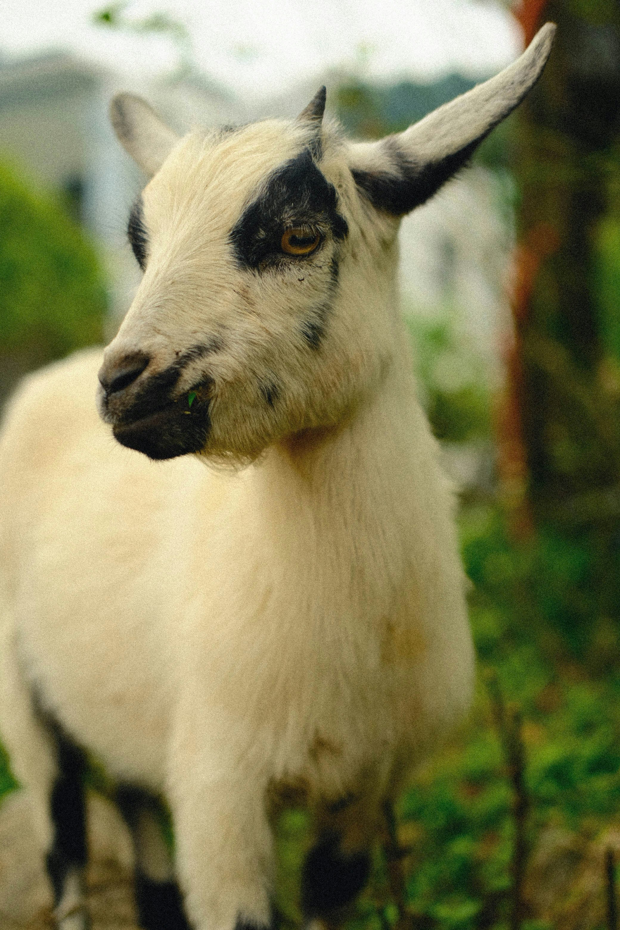 Photo by andreblanco