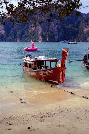 A wooden boat is anchored on a sandy beach with a calm turquoise sea in the background. A large pink inflatable flamingo is on top of the boat, adding a whimsical touch. Lush green cliffs rise in the distance, and some leaves hang in the foreground, framing the scene.