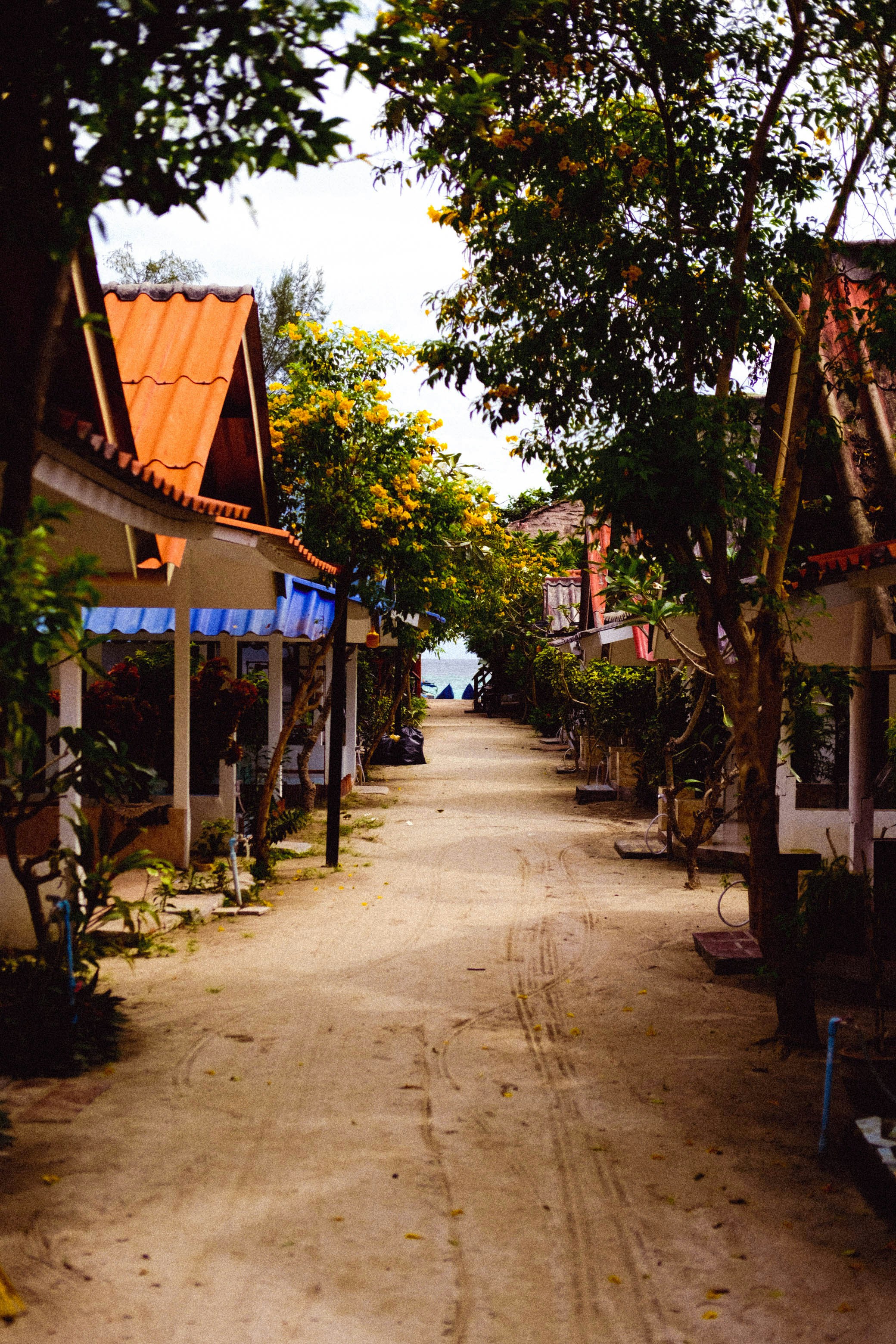 Photo by andreblanco