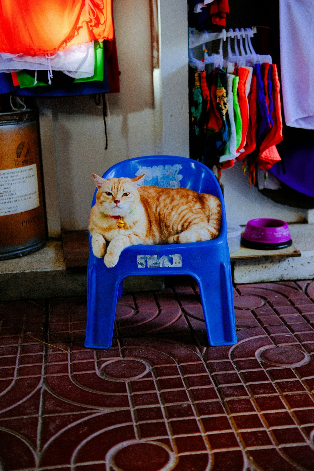 an orange cat laying on a blue chair