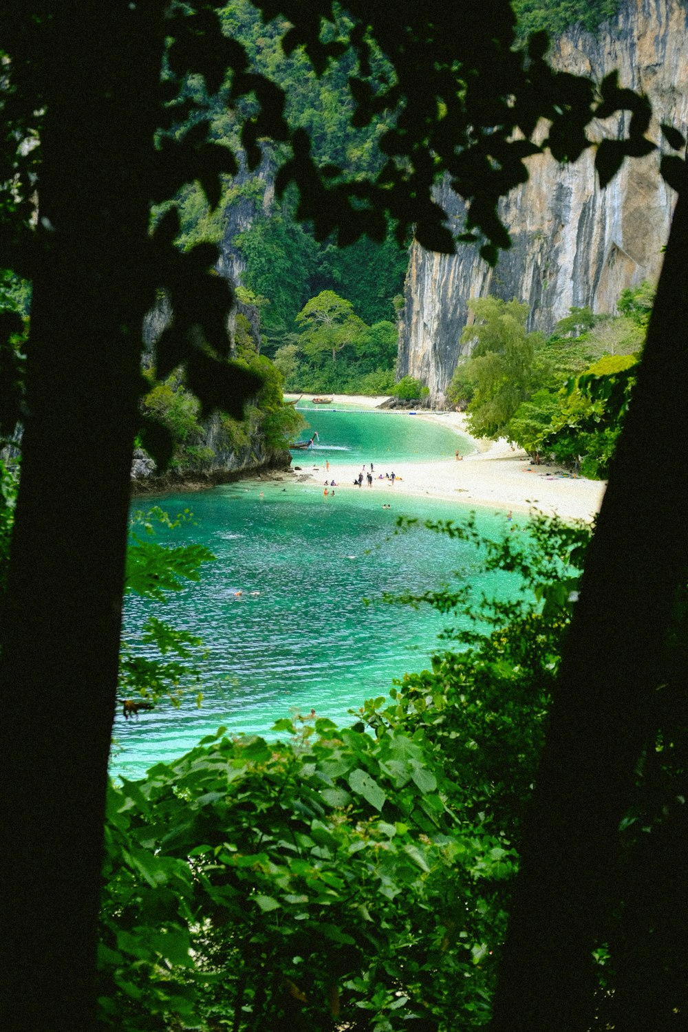 a body of water surrounded by trees and rocks