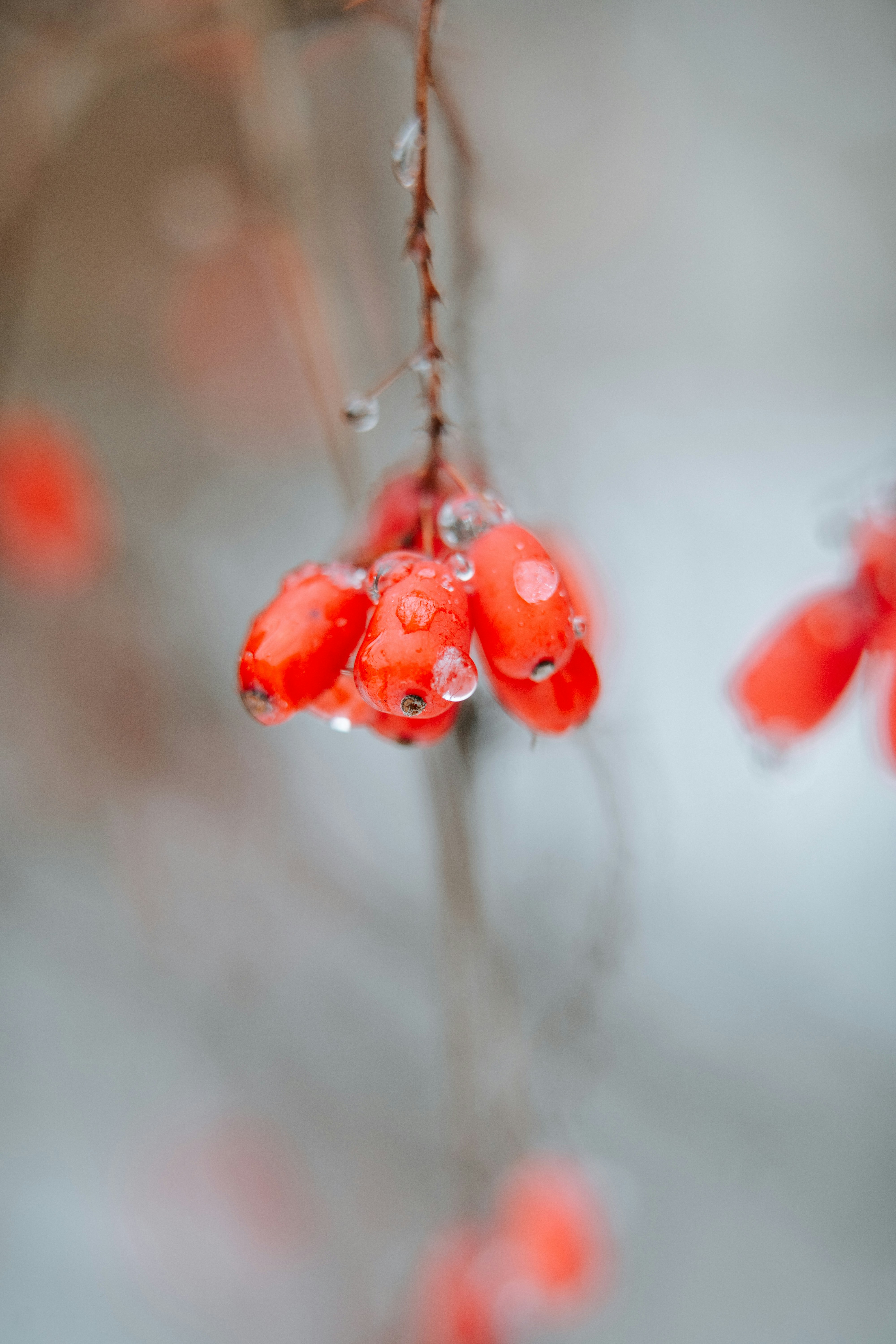 Photo by anamnesis33