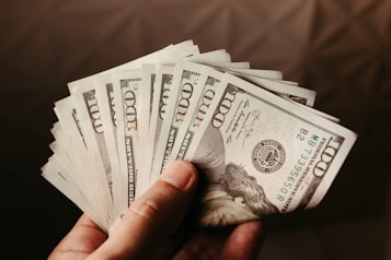 a person holding a bunch of money in their hand