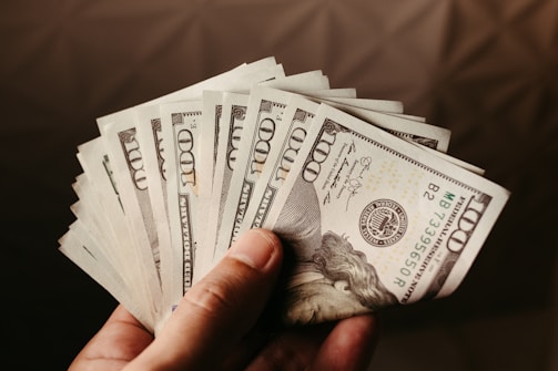 a person holding a bunch of money in their hand