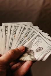 a person holding a bunch of money in their hand