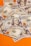 A collection of US one hundred dollar bills spread out on an orange surface. The bills feature the portrait of Benjamin Franklin and display details such as the security stripe, serial numbers, and Federal Reserve seal.