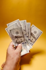 a person holding a bunch of money in their hand