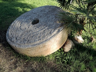 A large, round stone with a rough surface features a central hole and lies on the grass near small palm plants, casting shadows on the lush green surroundings.