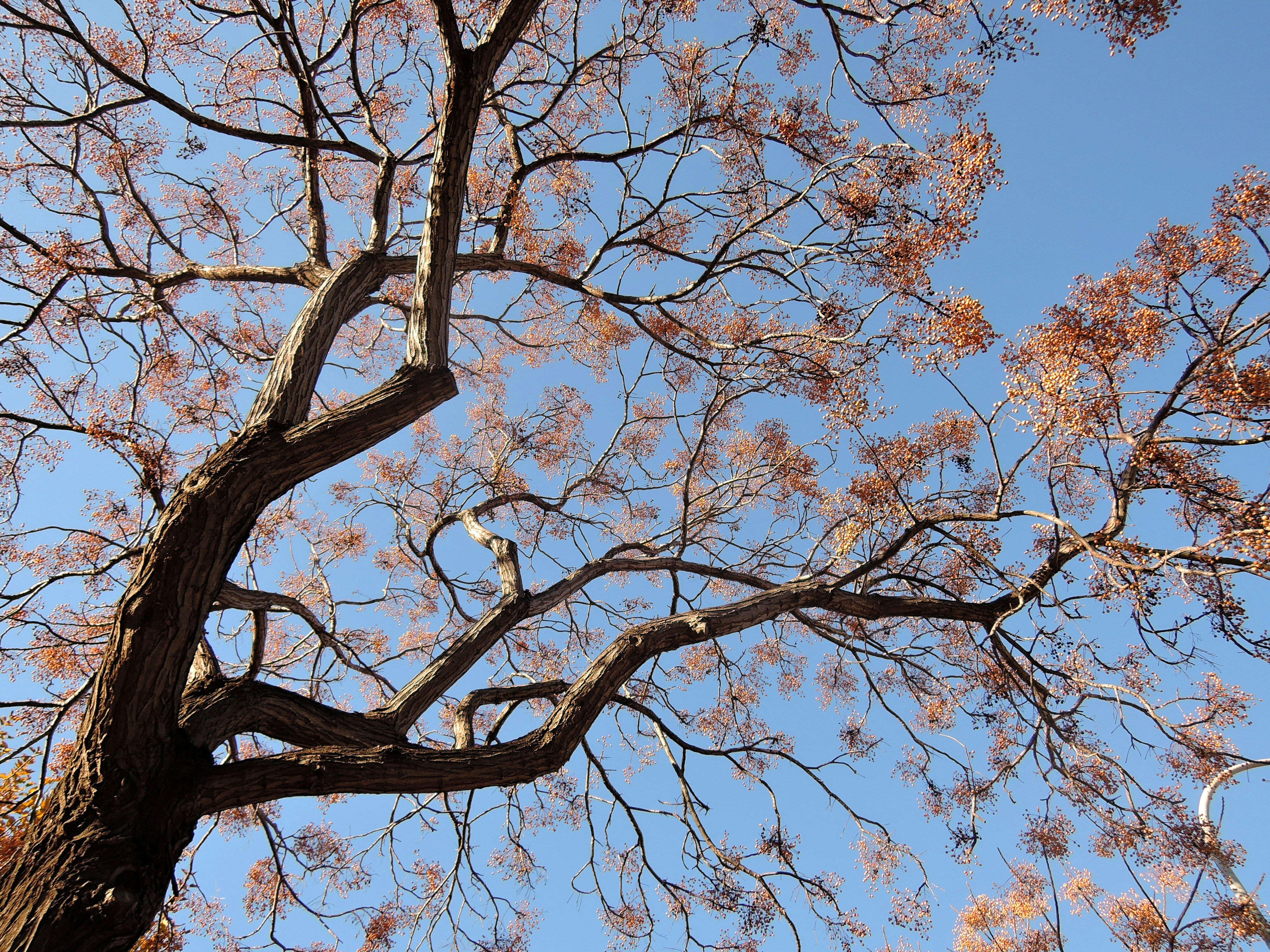 Photo by ludovico_06