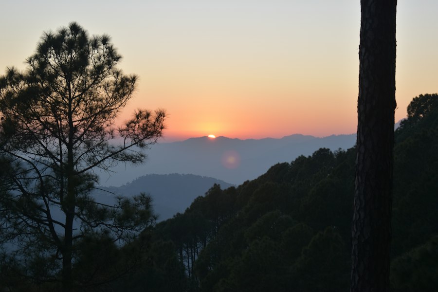 REPOS 자연 소재