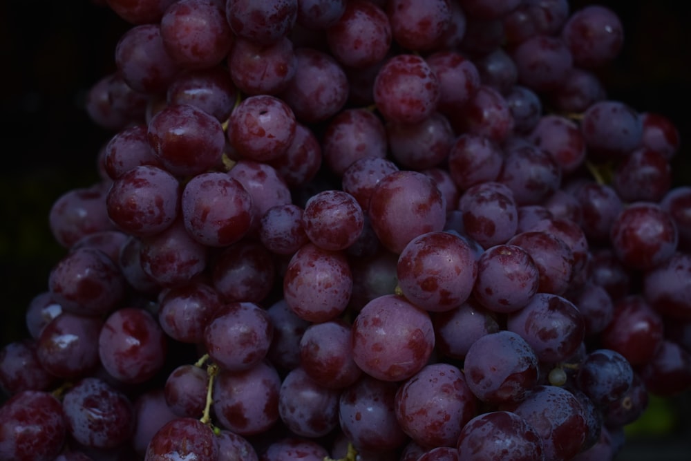 a close up of a bunch of grapes