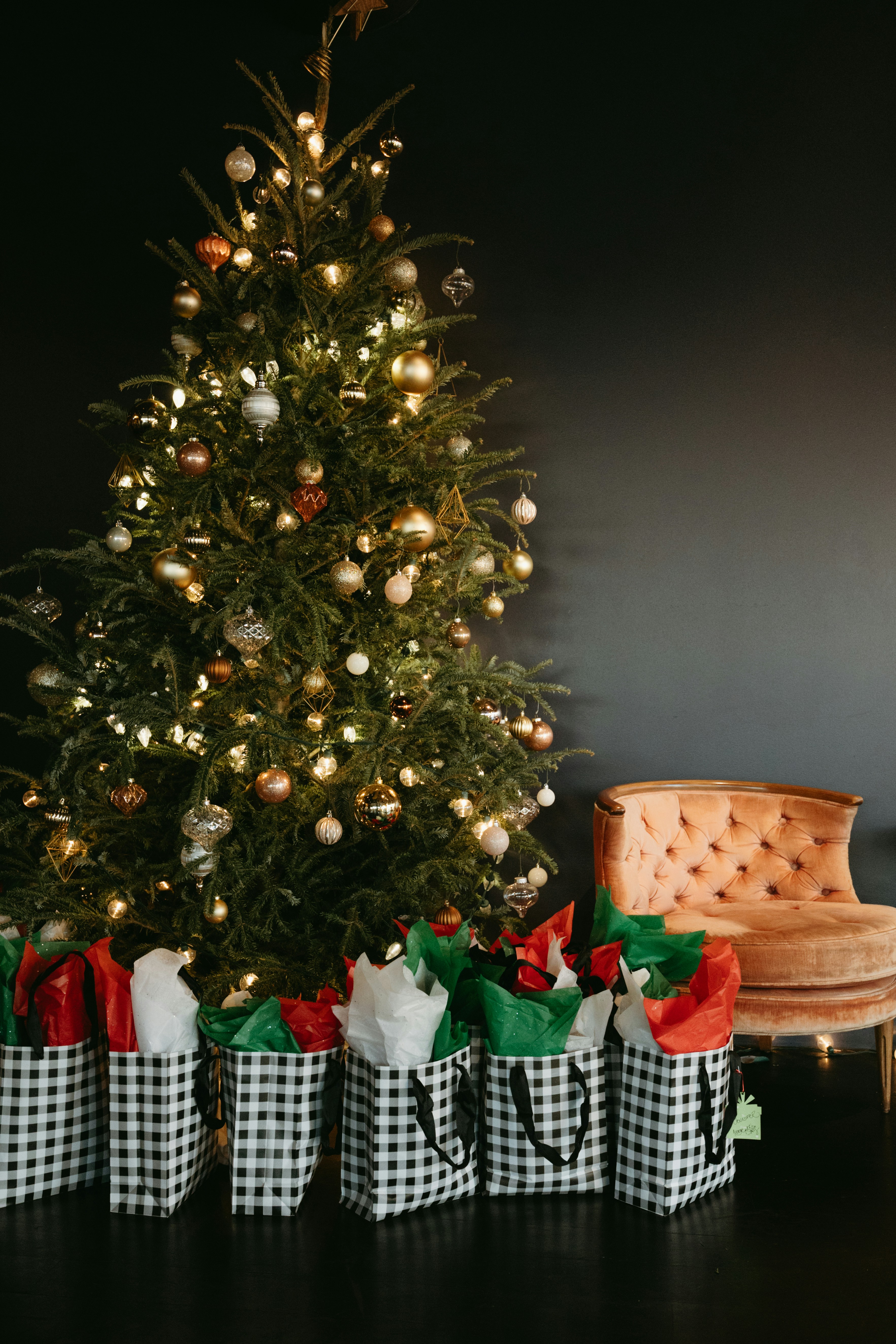 Photo by switchback_crtv