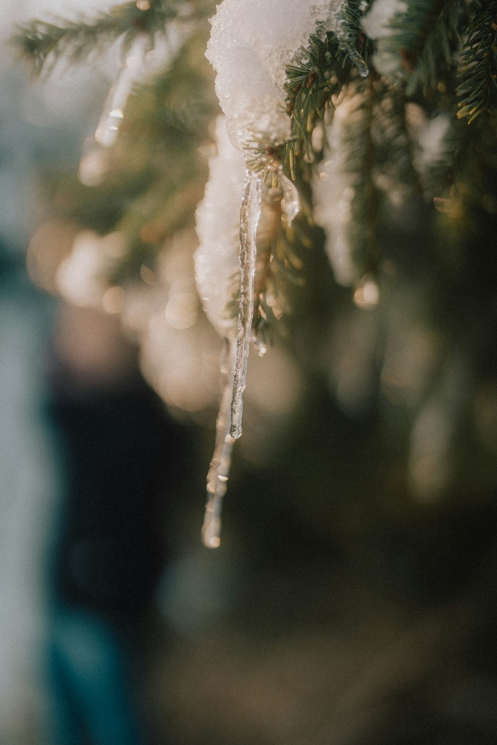 a close up of a christmas ornament hanging from a tree