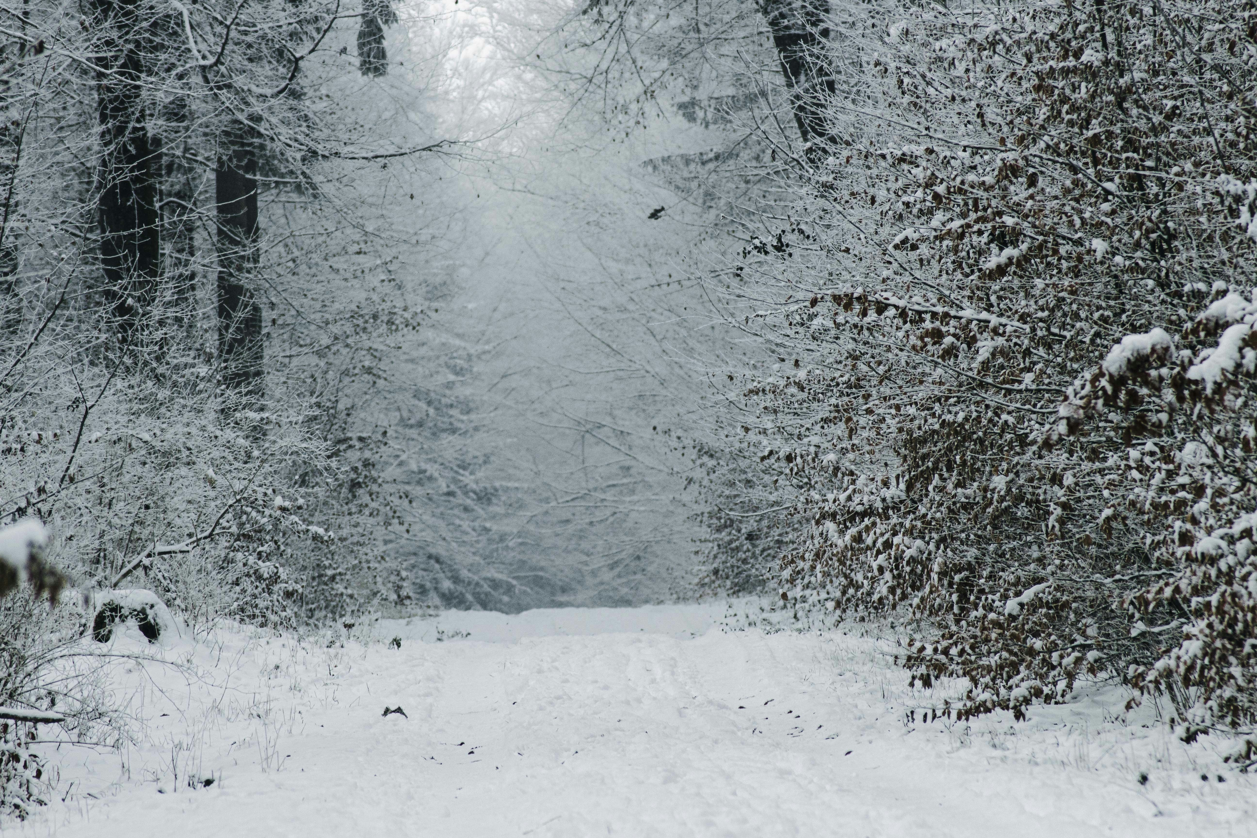 Photo by robin___the___bird