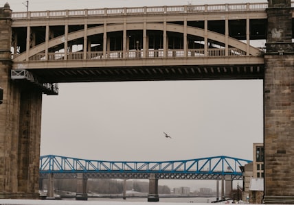 Cruising under 25th April Bridge port