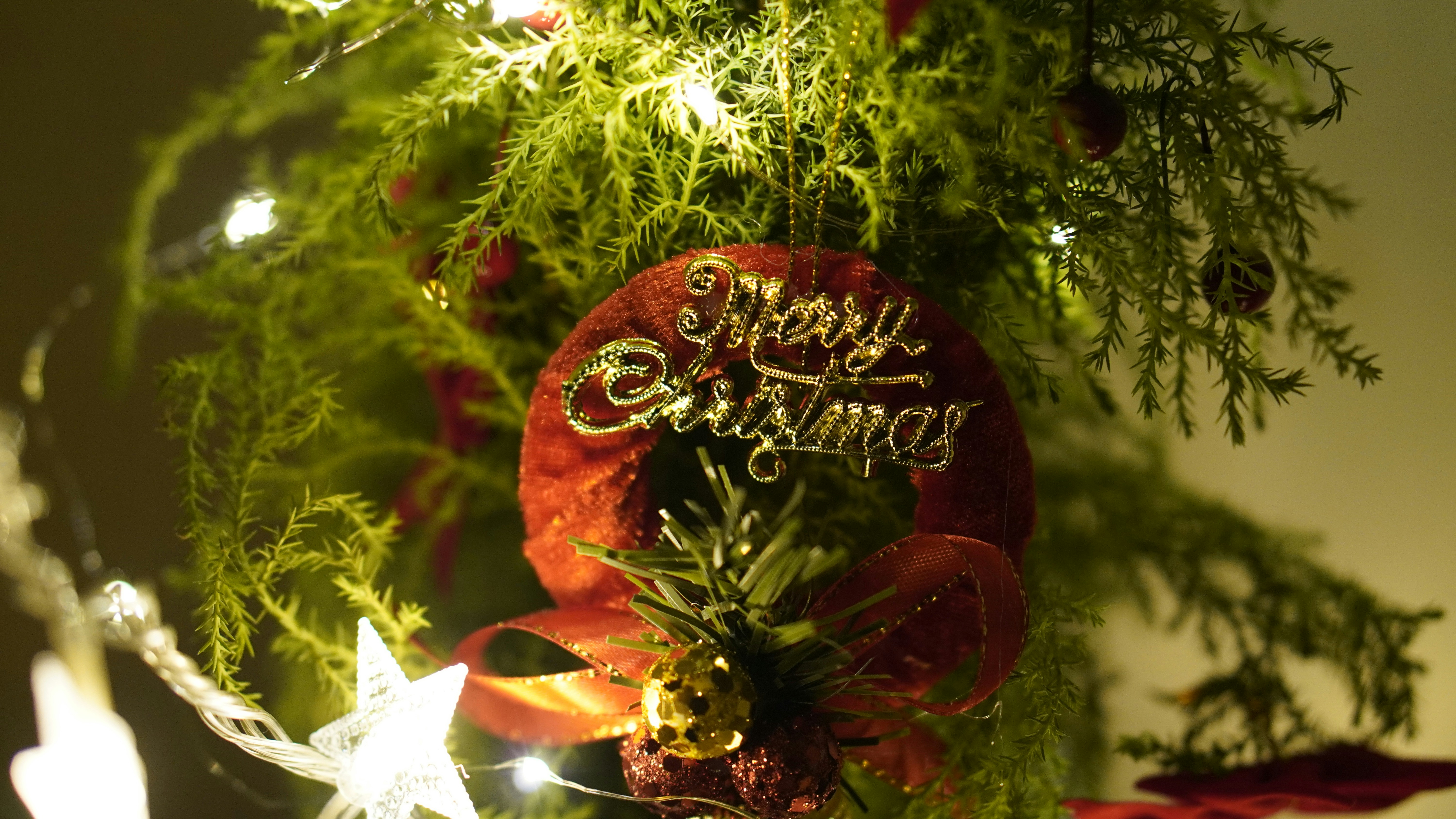 a christmas ornament hanging from a christmas tree