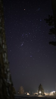 A night sky filled with numerous stars, with the constellation Orion prominently visible. The foreground includes silhouettes of trees and rooftops of houses, with some light illuminating parts of the scenery. The scene conveys a tranquil and serene atmosphere.