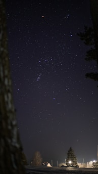 A night sky filled with numerous stars, with the constellation Orion prominently visible. The foreground includes silhouettes of trees and rooftops of houses, with some light illuminating parts of the scenery. The scene conveys a tranquil and serene atmosphere.