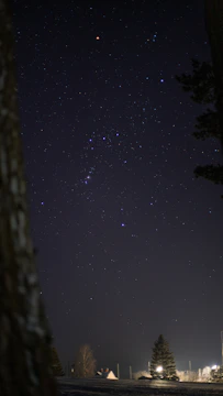 A serene night sky with constellations forming financial symbols.