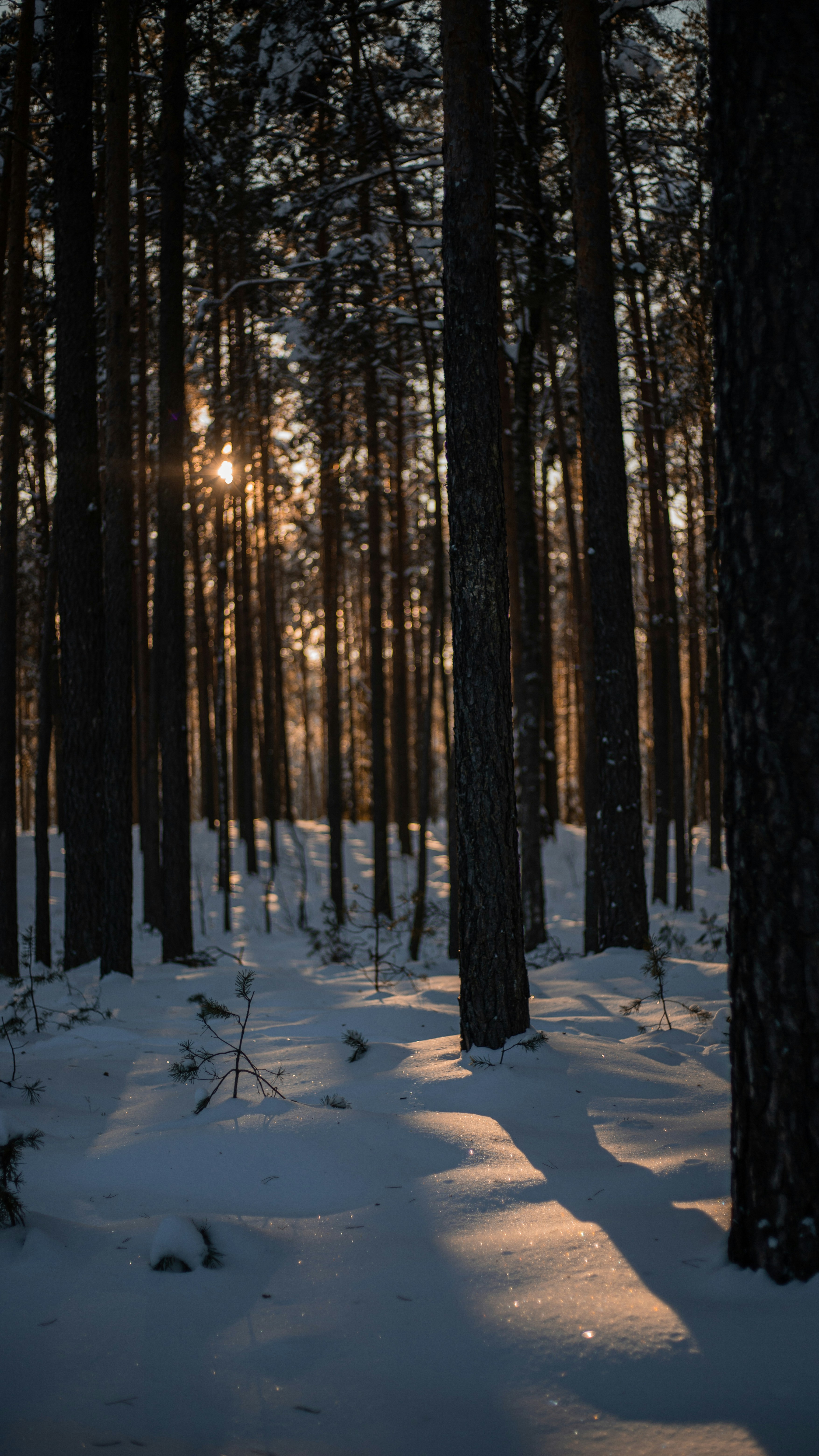 Photo by art_almighty