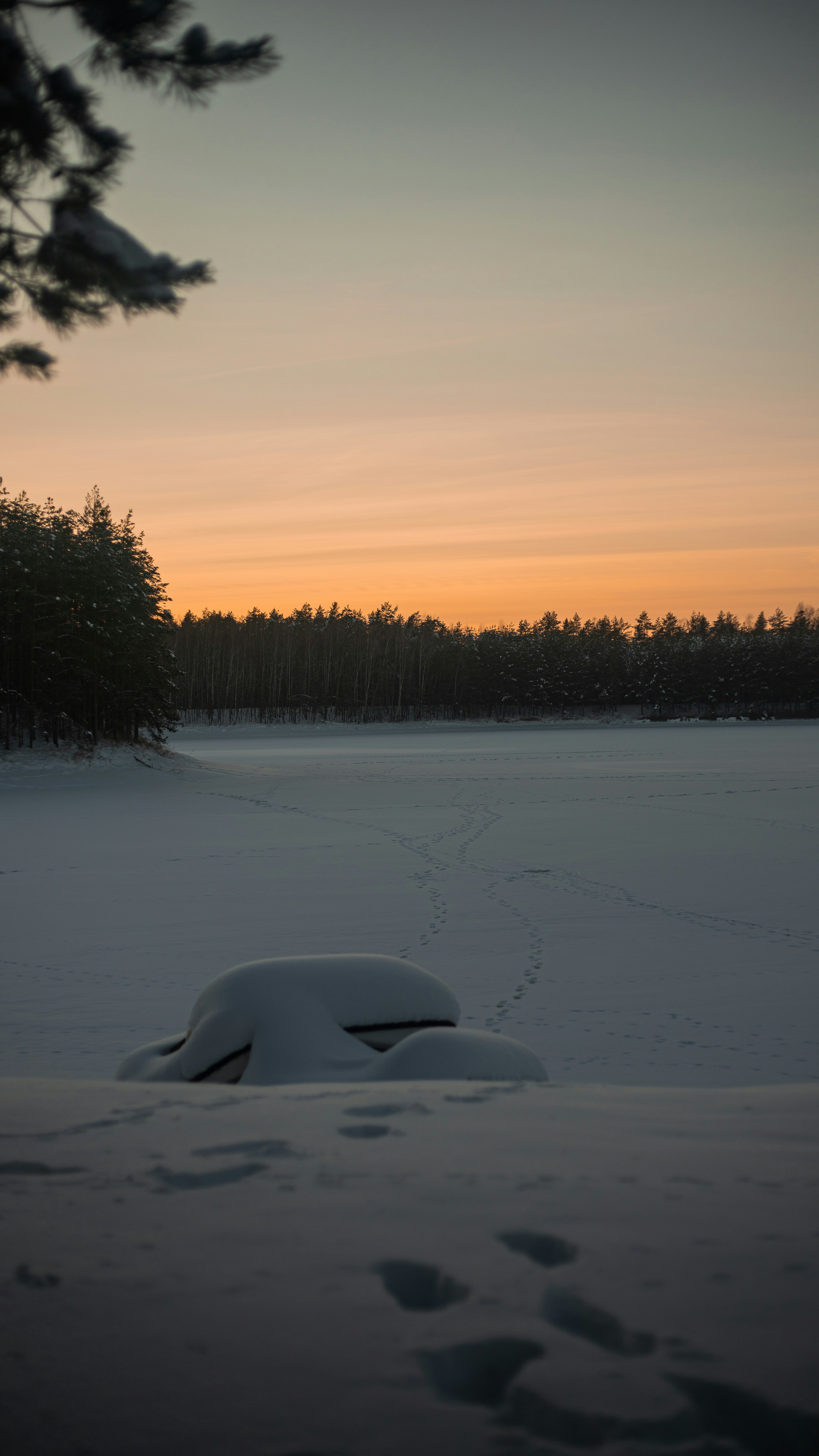 Photo by art_almighty