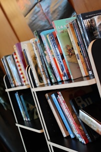 A sleek wrought iron bookshelf with clean lines holding a mix of books and decorative items in a modern living room.