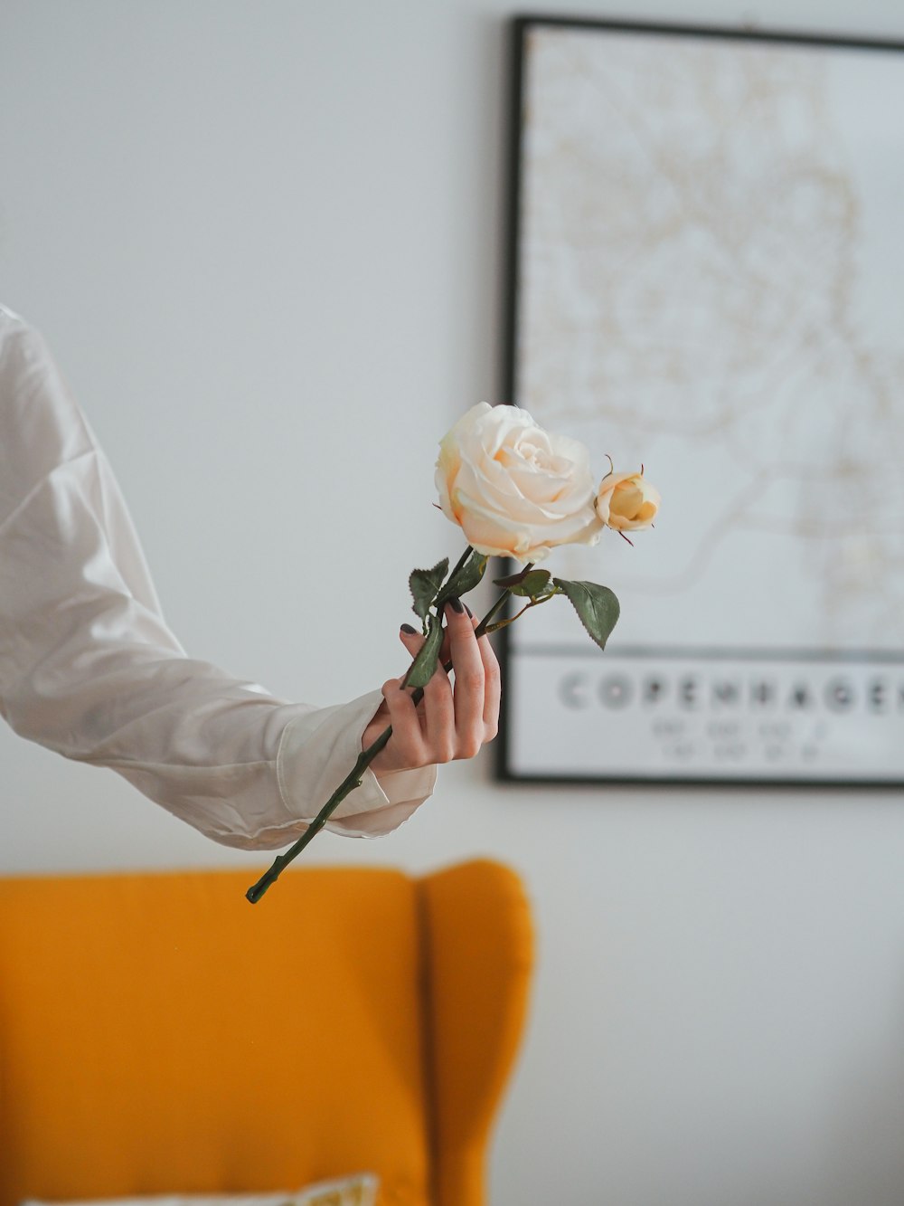 a person holding a white rose in their hand