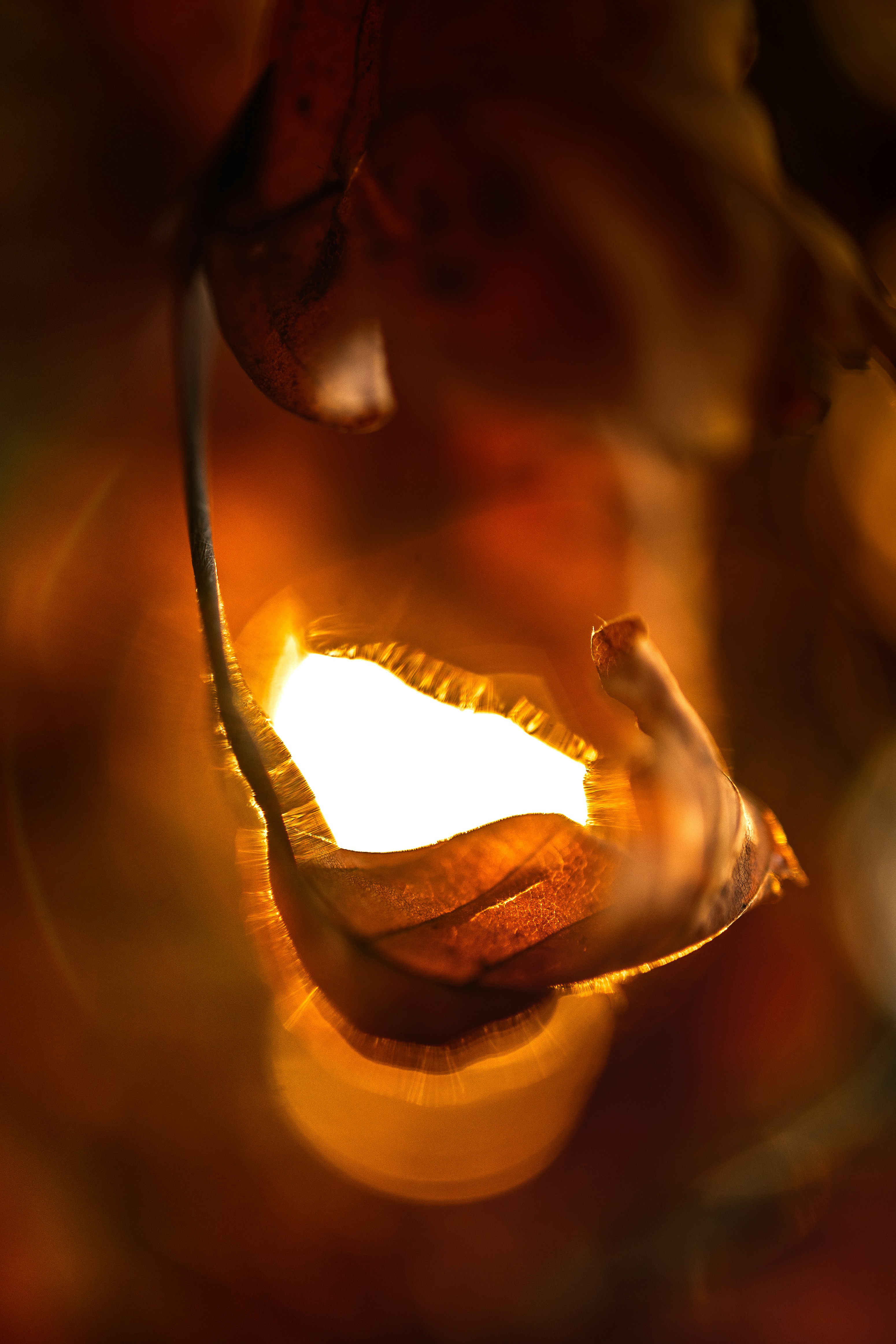 Photo by marekpiwnicki