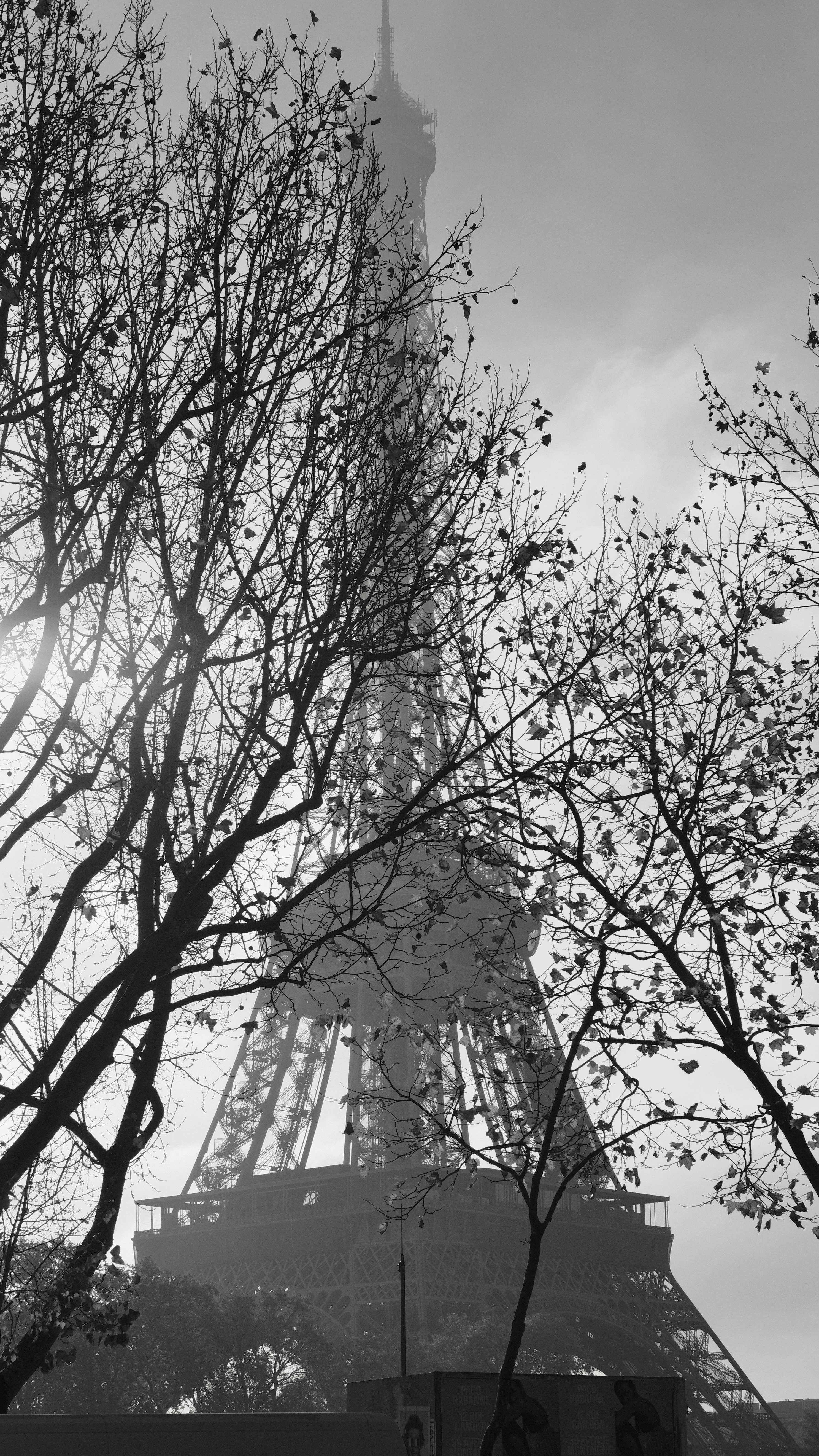 Bugün öğrendim ki: 11 Eylül'de öldürülen tek...