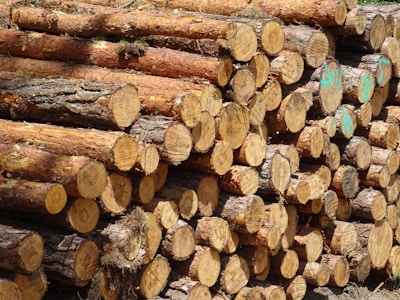 a pile of logs sitting next to each other