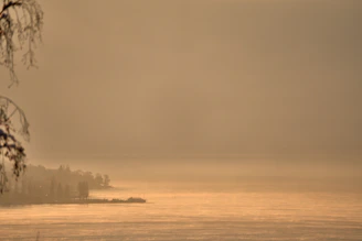 Soft watercolor painting of a misty morning by a lakeside with subtle pastel tones.