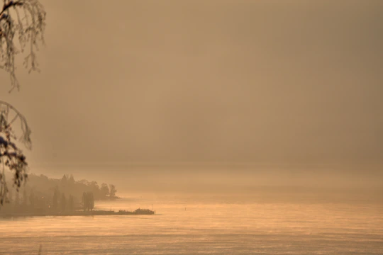 Soft watercolor painting of a misty morning by a lakeside with subtle pastel tones.