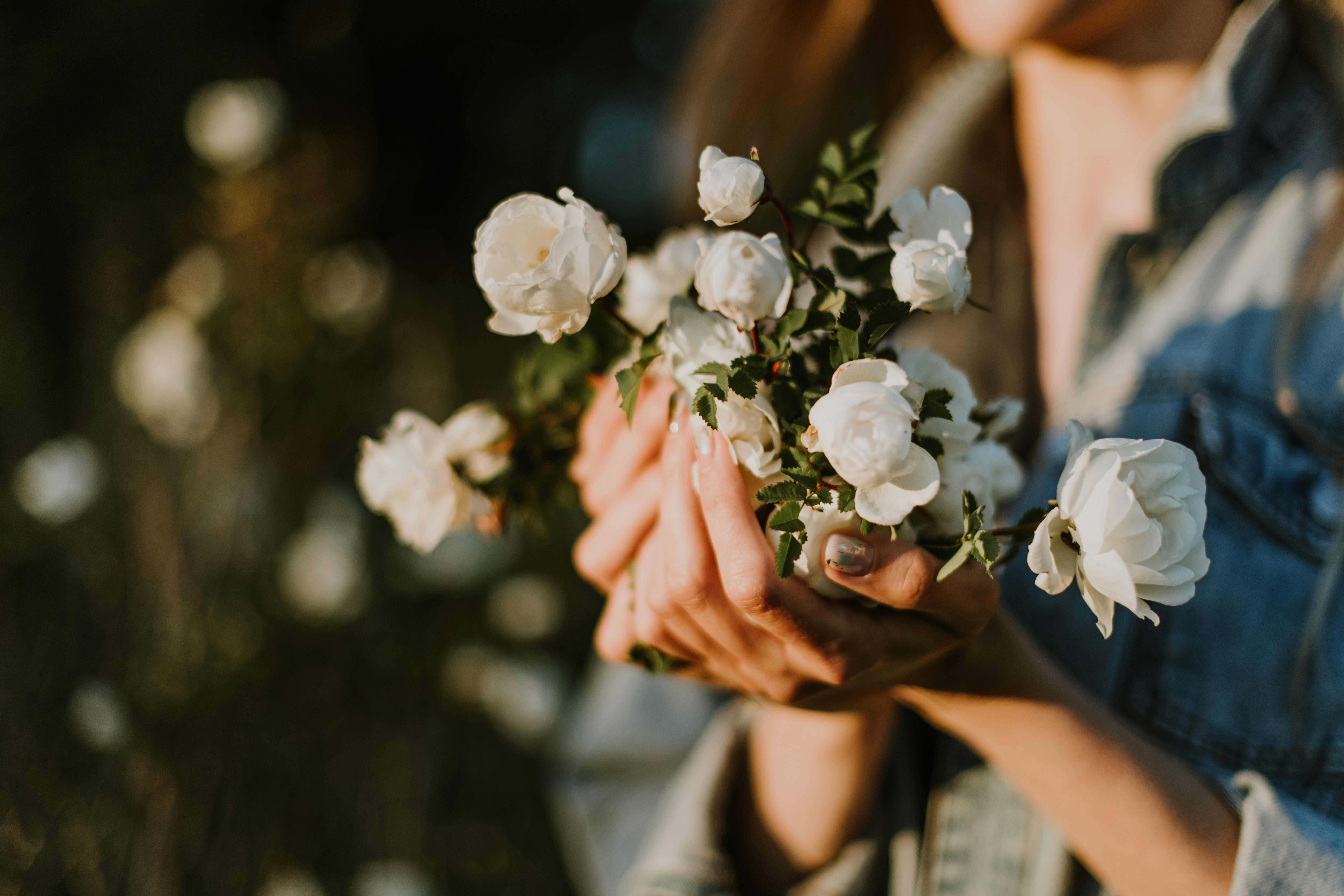 Photo by anitaaustvika